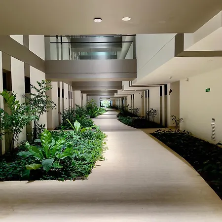 Manzanillo Edificio Morro Zoe Piso 4 Apartamento