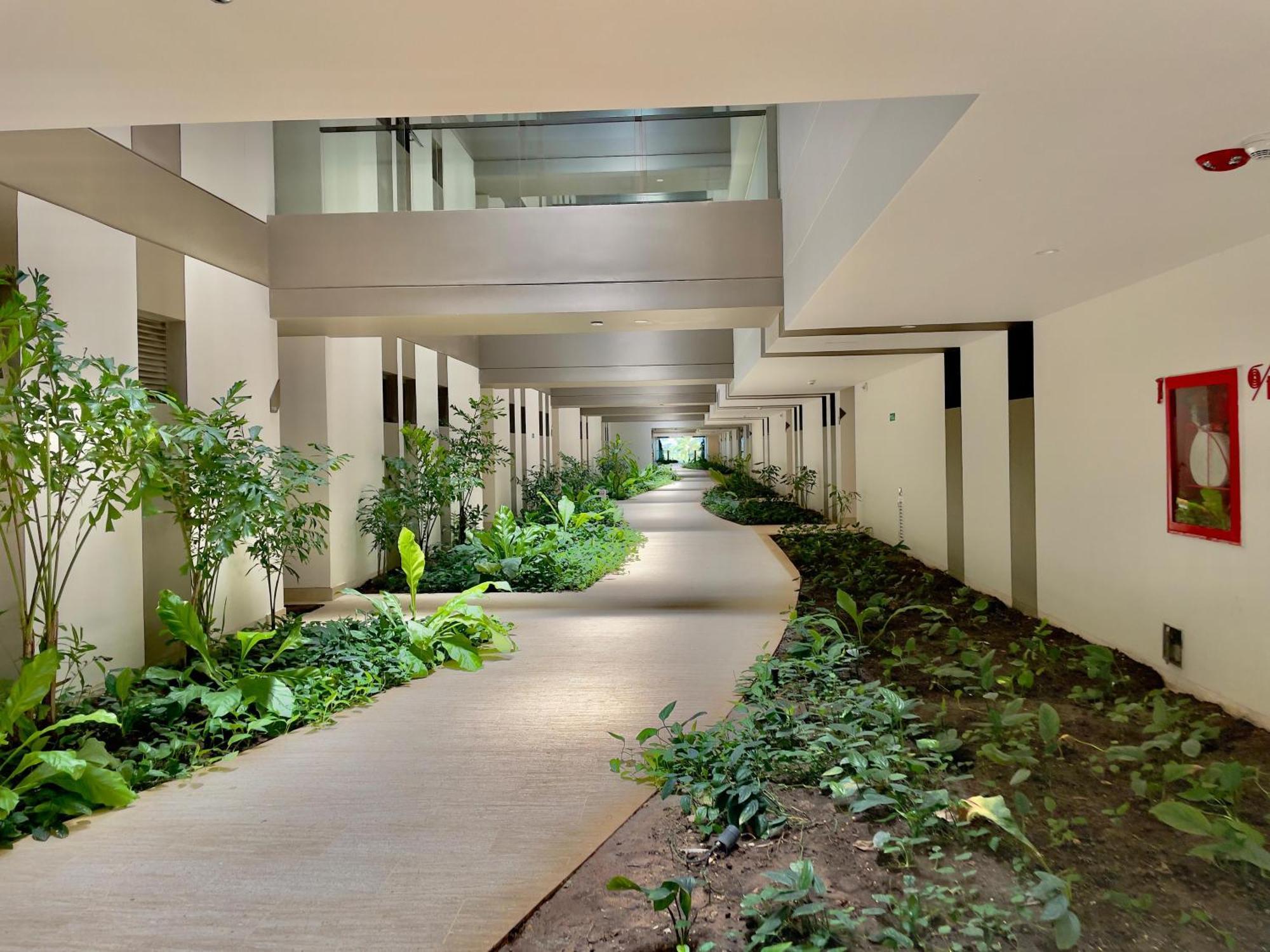 Manzanillo Edificio Morro Zoe Piso 4